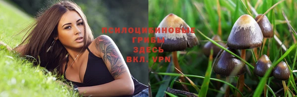 ешки Лагань