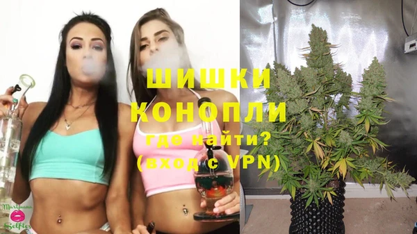 ешки Лагань