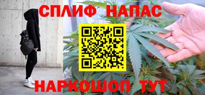 спиды Дубна