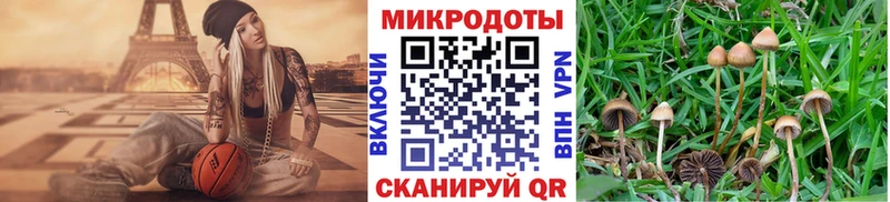 Псилоцибиновые грибы мицелий  наркотики  Моздок 