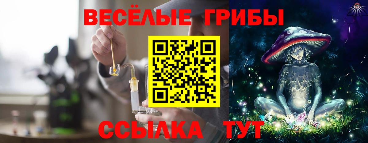 Галлюциногенные грибы мицелий Моздок